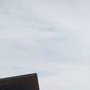 Meet your Posher, Noah